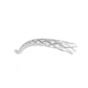 Stent Everolimus-.png